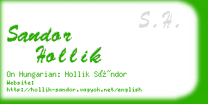 sandor hollik business card